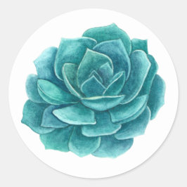 Succulente waterverf. Blauwe cactus. Cactussen. bo Ronde Sticker