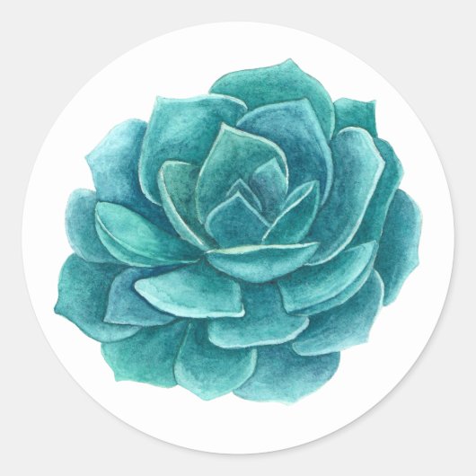 Succulente waterverf. Blauwe cactus. Cactussen. bo Ronde Sticker (Voorkant)