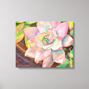 Succulente Waterverf door Debra Lee Baldwin Canvas Afdruk