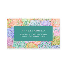 Succulente Waterverf Kleurrijke Planten WinkelQR-c