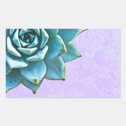 Succulente Waterverf Lavender Lace Rechthoekige Sticker (Voorkant)