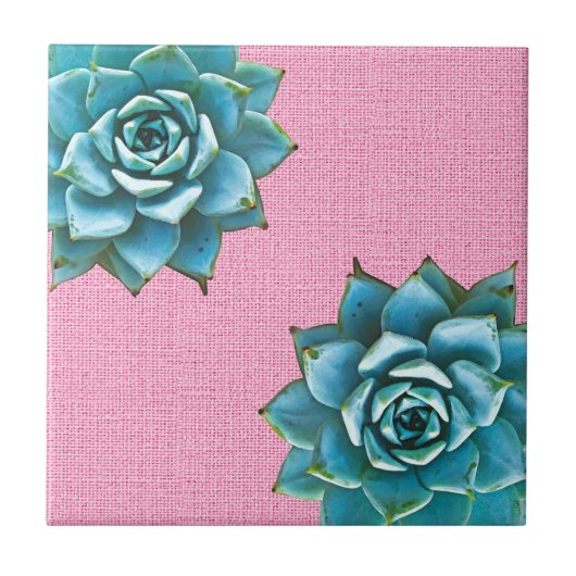 Succulente Waterverf op Bleek roze Tegeltje (Voorkant)