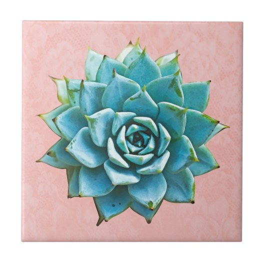 Succulente Waterverf op Blush Pink Lace Tegeltje (Voorkant)