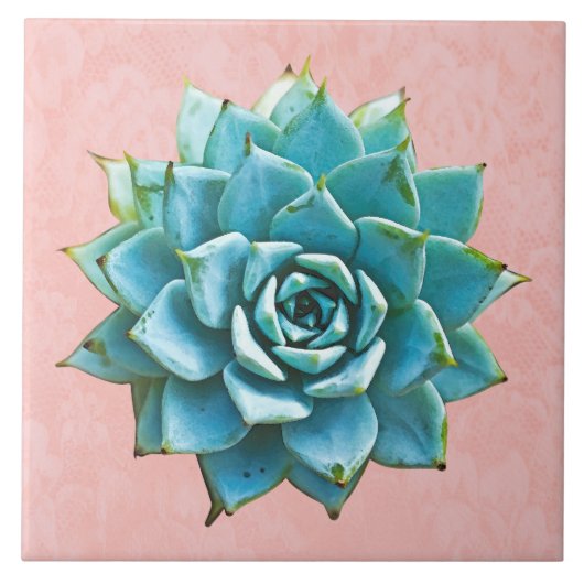 Succulente Waterverf op Blush Pink Lace Tegeltje (Voorkant)