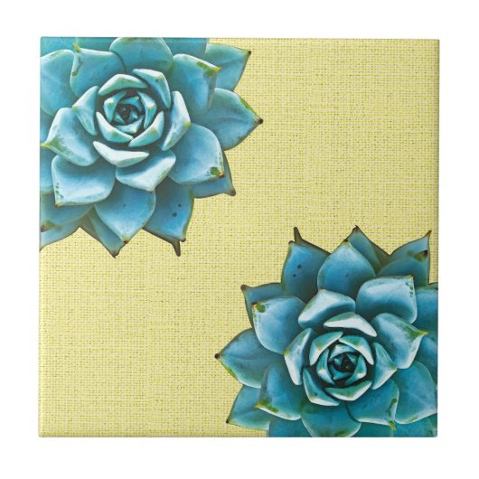 Succulente Waterverf op geel Tegeltje (Voorkant)
