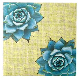 Succulente Waterverf op geel Tegeltje