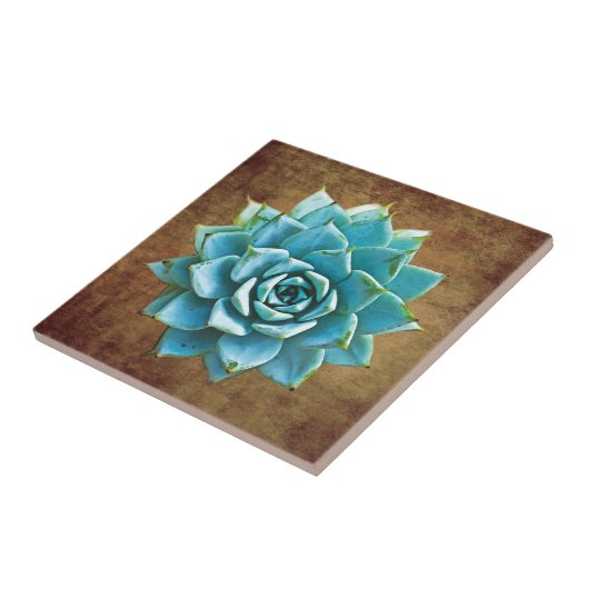 Succulente Waterverf op Rustic Brown Tegeltje (Zijkant)