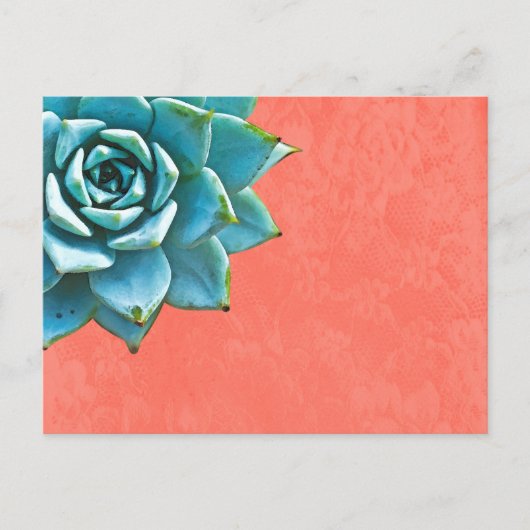Succulente Waterverf Oranje kant Briefkaart (Voorkant)