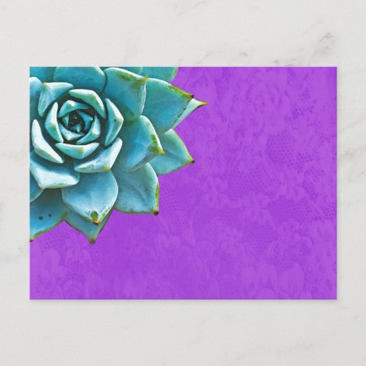 Succulente Waterverf Paarse kant Briefkaart (Voorkant)