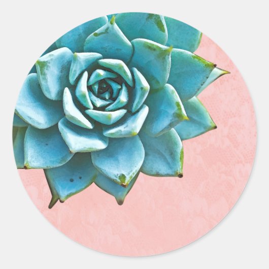 Succulente Waterverf Roze kant Ronde Sticker (Voorkant)