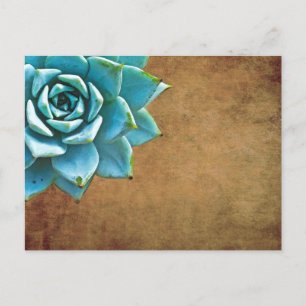Succulente Waterverf Rustic Brown Briefkaart
