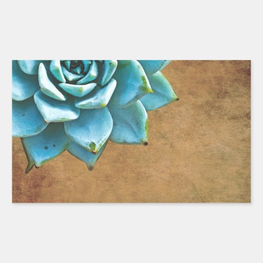 Succulente Waterverf Rustic Brown Rechthoekige Sticker (Voorkant)