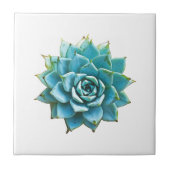 Succulente Waterverf Tegeltje (Voorkant)