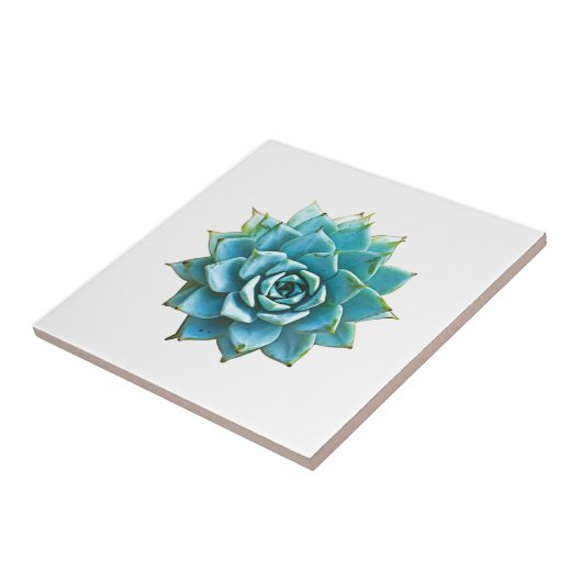 Succulente Waterverf Tegeltje (Zijkant)