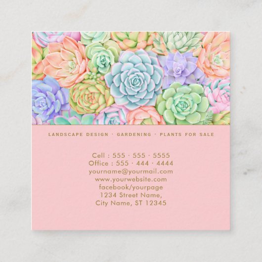 Succulente Waterverf van tuinbouwer Kleurrijk Past Vierkante Visitekaartje (Achterkant)