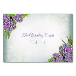 Succulente Zee Groene, Violet Table kaarten