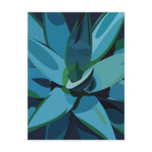 Succulenten Blue Agave Cactus Succulents