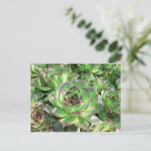 Succulenten Briefkaart (Staand voorkant)