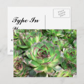 Succulenten Briefkaart (Voorkant / Achterkant)
