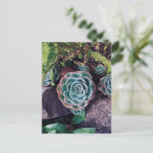 Succulenten Briefkaart (Staand voorkant)