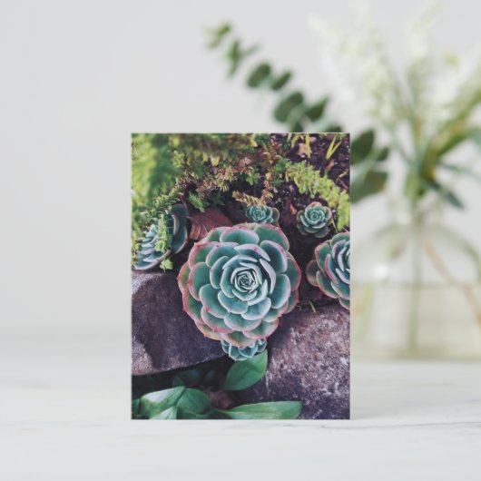 Succulenten Briefkaart (Staand voorkant)