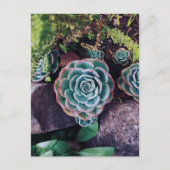 Succulenten Briefkaart (Voorkant)
