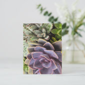 Succulenten Briefkaart (Staand voorkant)