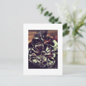 Succulenten Briefkaart (Staand voorkant)