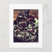 Succulenten Briefkaart (Voorkant)
