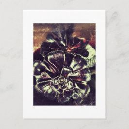 Succulenten Briefkaart