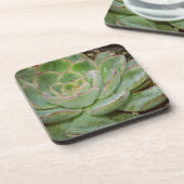 Succulenten Drankjes Onderzetter (Linkerzijde)