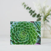 Succulenten Echeveria-plant Briefkaart (Staand voorkant)