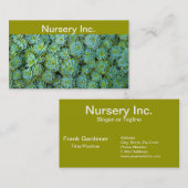 Succulenten - Echeveria plant Visitekaartje (Voorkant / Achterkant)