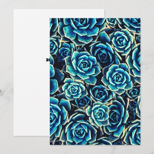 Succulenten Feestdagenkaart (Voorkant / Achterkant)