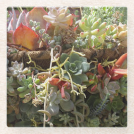 Succulenten Glas Onderzetter Glazen Onderzetter