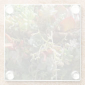 Succulenten Glas Onderzetter Glazen Onderzetter (Achterkant)