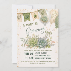 Succulenten Groeiende Babyborrel Kaart