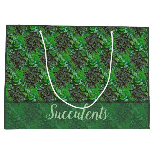 Succulenten Grote Gift Bag Groot Cadeauzakje (Achterkant)