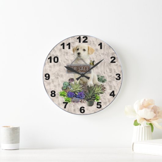 Succulenten Grote Klok (Huis)