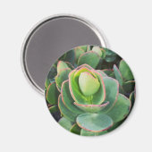 #succulenten in de kas. magneet (Voorkant / Achterkant)