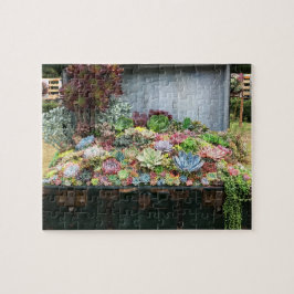 Succulenten in de schatkist legpuzzel