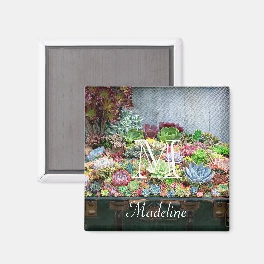 Succulenten in de schatkist magneet (Voorkant / Achterkant)