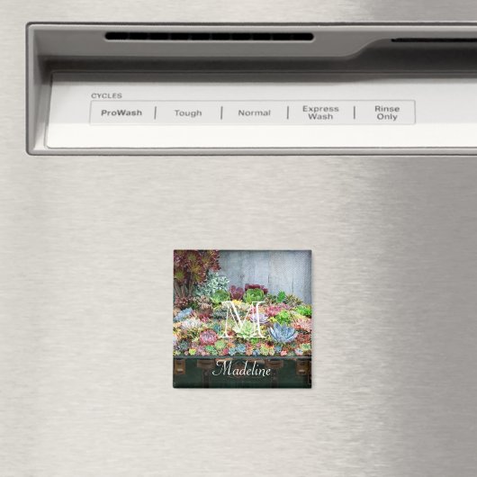 Succulenten in de schatkist magneet (Insitu (Vaatwasser))