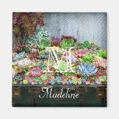Succulenten in de schatkist magneet (Voorkant)