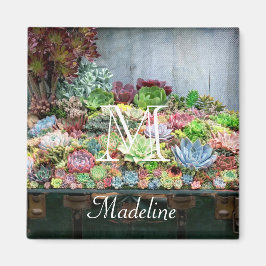 Succulenten in de schatkist magneet