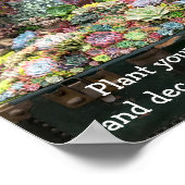 Succulenten in de schatkist poster (Hoek)