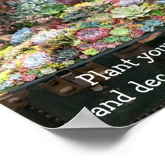 Succulenten in de schatkist poster (Hoek)