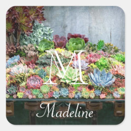 Succulenten in de schatkist vierkante sticker
