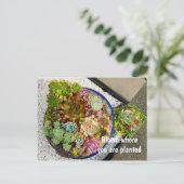 Succulenten in Planter Briefkaart (Staand voorkant)