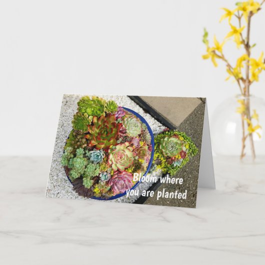 Succulenten in Planter Kaart (Gele Bloem)